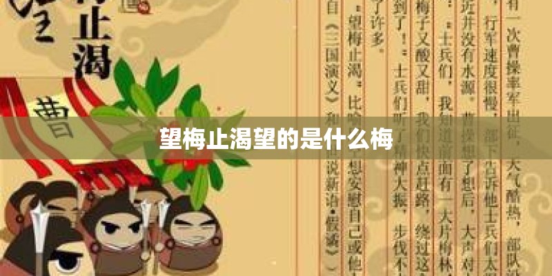 望梅止渴望的是什么梅