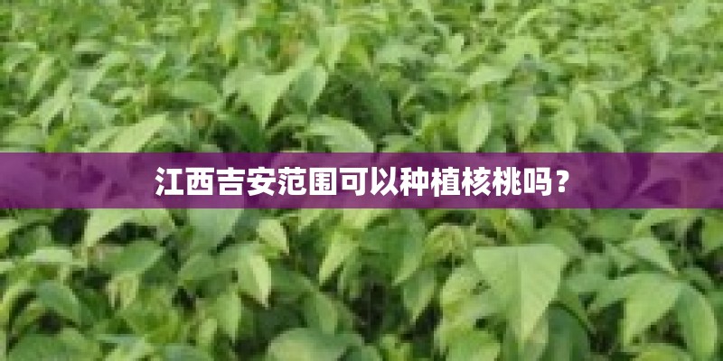 什么是钻孔攻牙一体机-有有真相