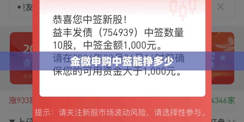 金微申购中签能挣多少