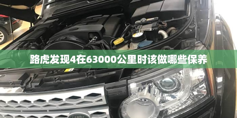 包粽子用什么叶子 老人吃粽子要注意热量