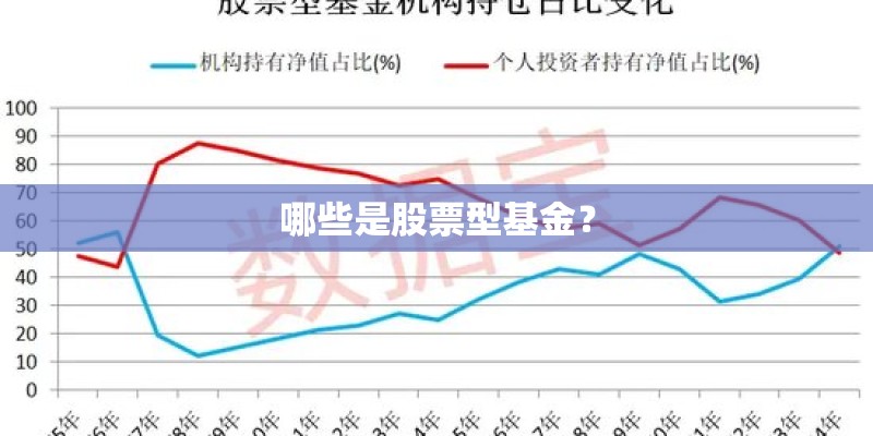 哪些是股票型基金？