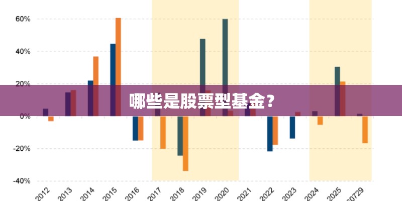 哪些是股票型基金？