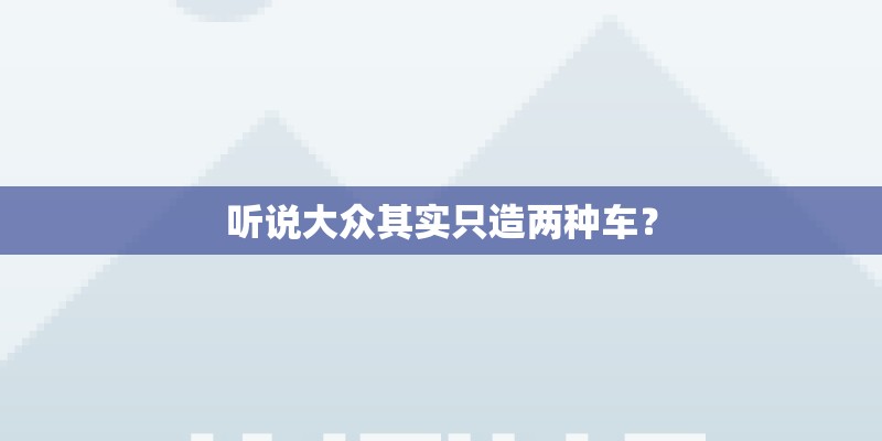 听说大众其实只造两种车？