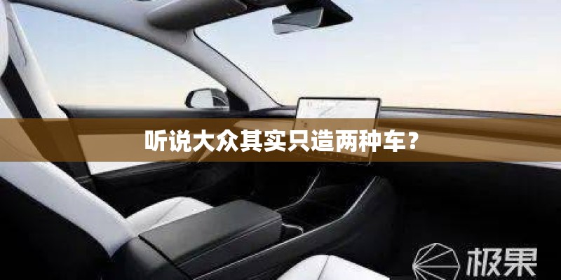 听说大众其实只造两种车？