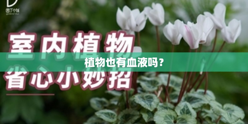 什么是钻孔攻牙一体机-有有真相