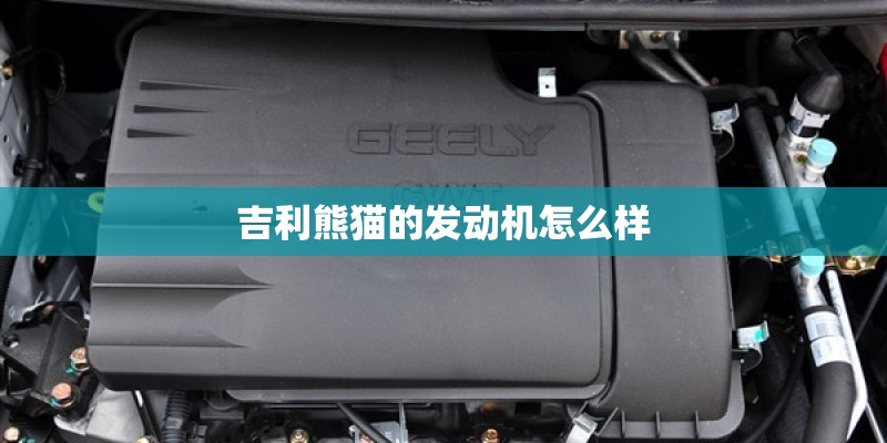 吉利熊猫的发动机怎么样
