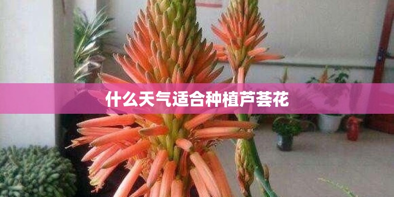 什么是钻孔攻牙一体机-有有真相