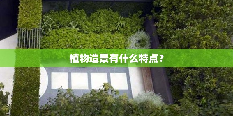 中班蒙氏教案