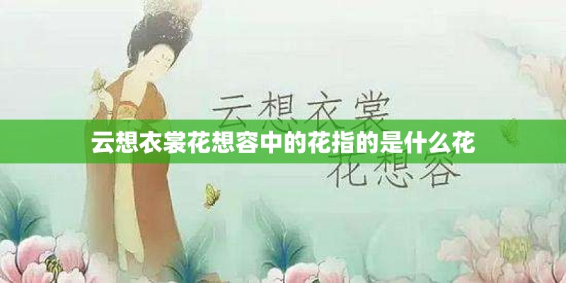 云想衣裳花想容中的花指的是什么花