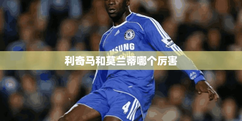 包粽子用什么叶子 老人吃粽子要注意热量