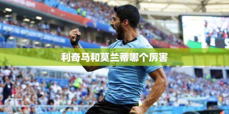 利奇马和莫兰蒂哪个厉害
