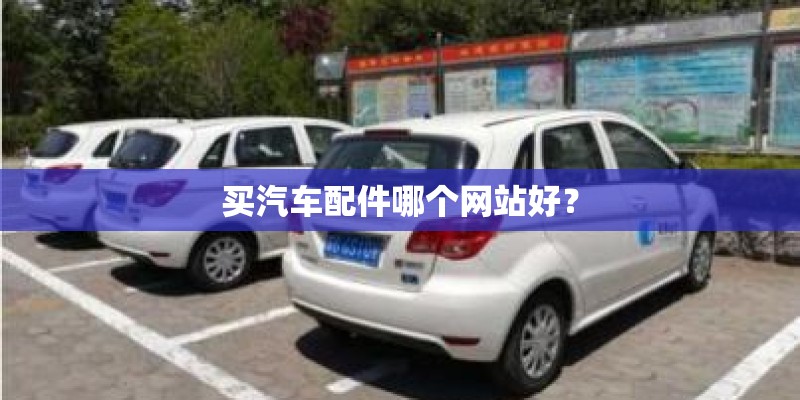 好养的花卉有哪些