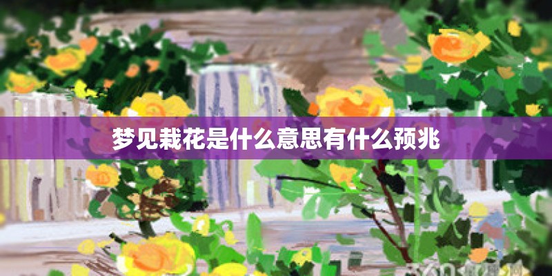 梦见栽花是什么意思有什么预兆