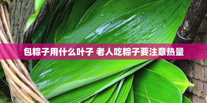 包粽子用什么叶子 老人吃粽子要注意热量