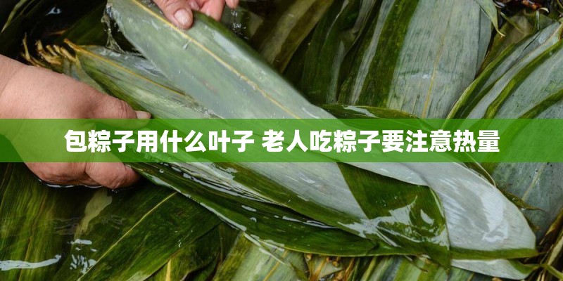 包粽子用什么叶子 老人吃粽子要注意热量