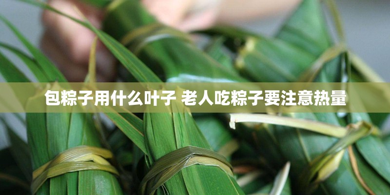 包粽子用什么叶子 老人吃粽子要注意热量