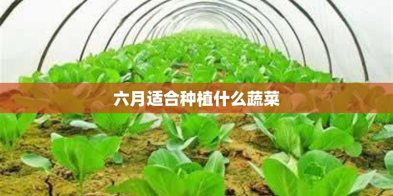 本周的新闻大事10条