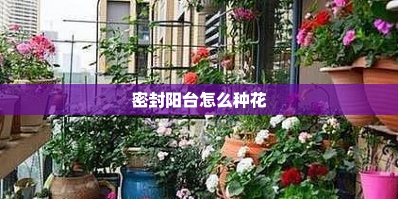 你觉得新周刊是一本怎样的杂志？