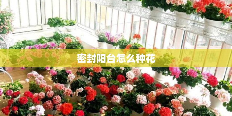 密封阳台怎么种花