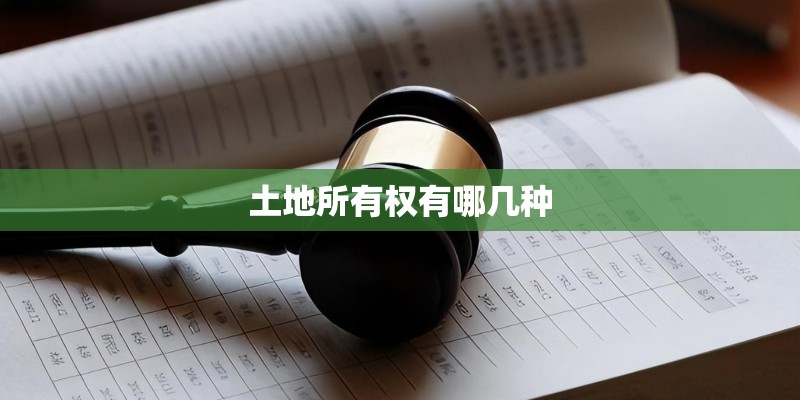 土地所有权有哪几种