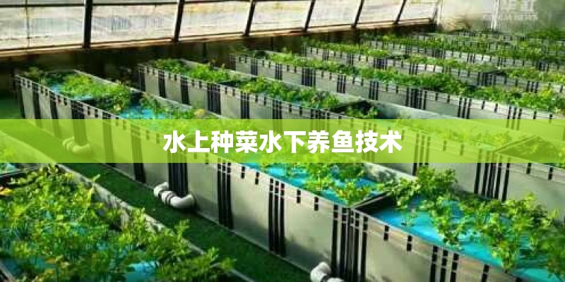 本周的新闻大事10条