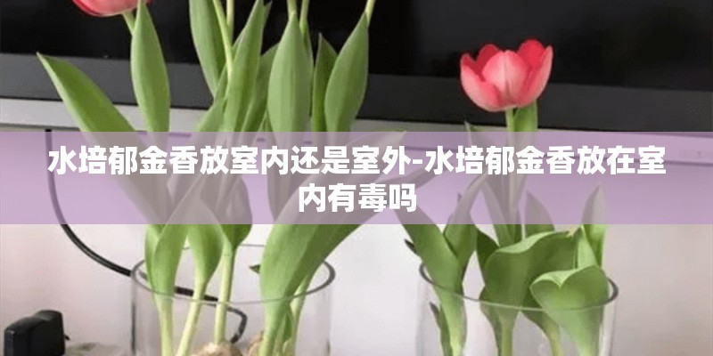 一篇关于植物或花的演讲稿。急........