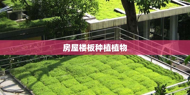 你觉得新周刊是一本怎样的杂志？