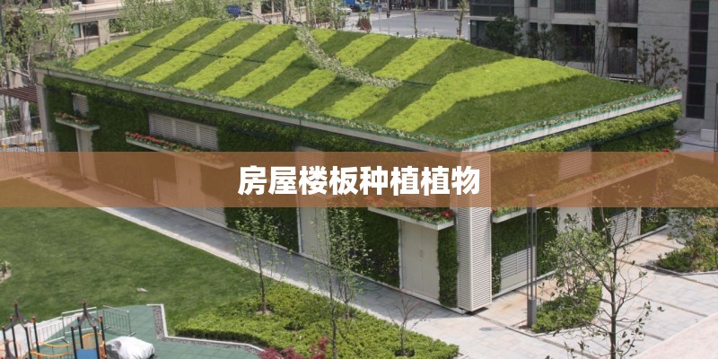 房屋楼板种植植物