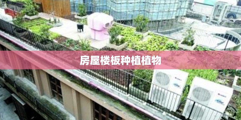 房屋楼板种植植物