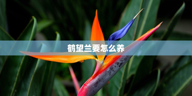 中国211大学有哪些