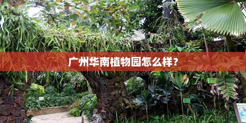 女人吃山茱萸的好处有哪些？