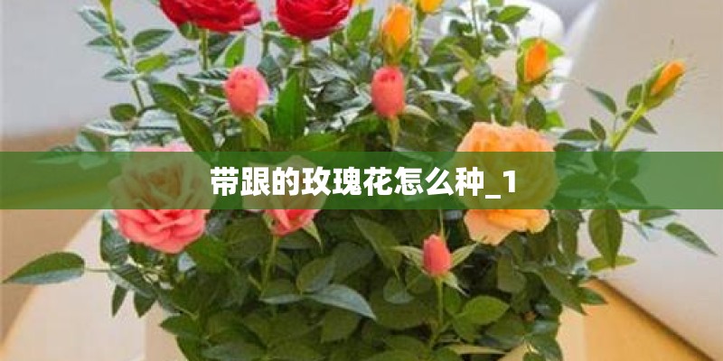 本周的新闻大事10条