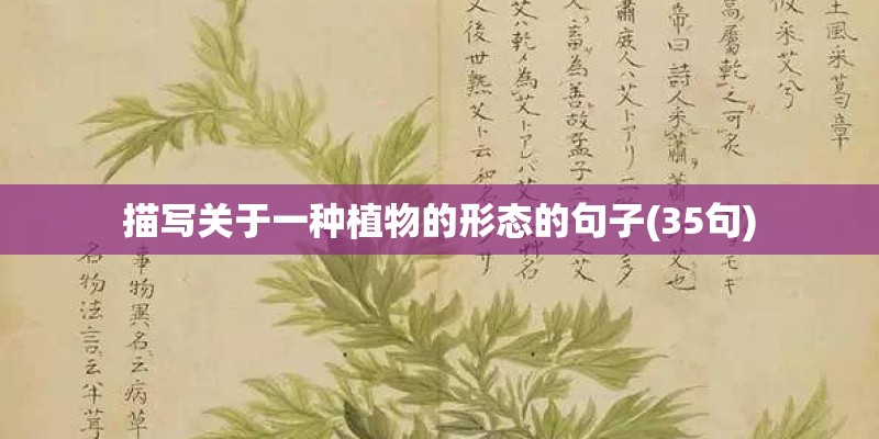 你觉得新周刊是一本怎样的杂志？