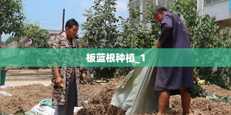 中国211大学有哪些
