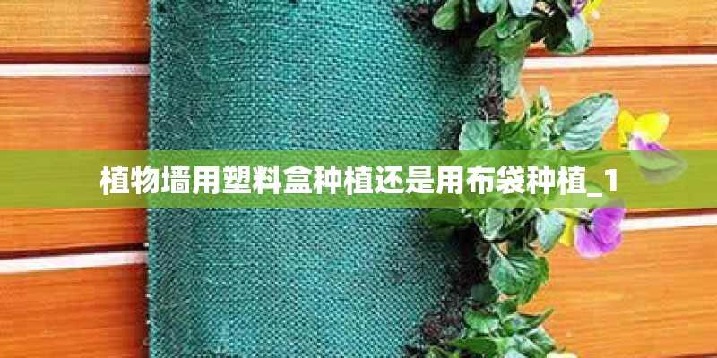 德州泰和花园有多少户？