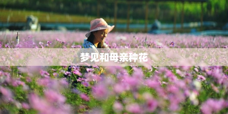 中国211大学有哪些