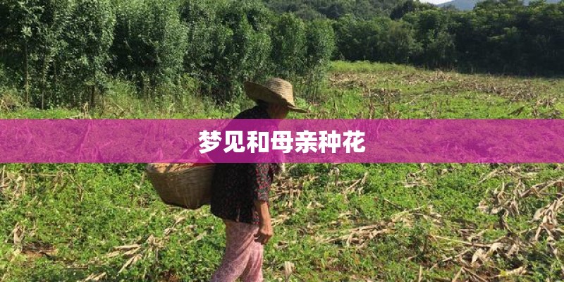 梦见和母亲种花