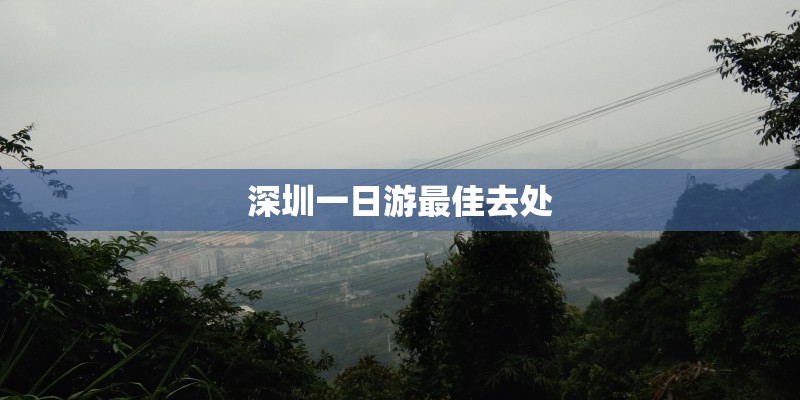 女人吃山茱萸的好处有哪些？
