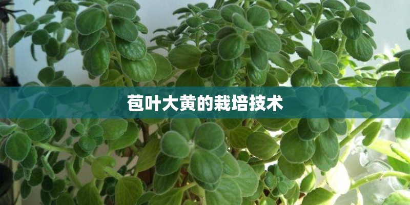 你觉得新周刊是一本怎样的杂志？