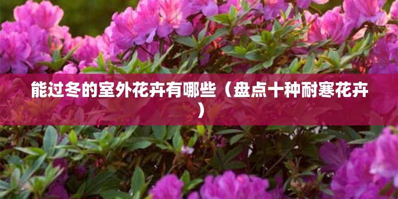 中国211大学有哪些