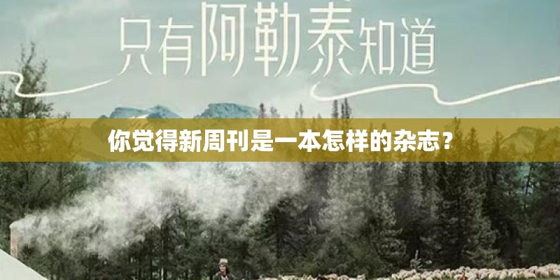 你觉得新周刊是一本怎样的杂志？