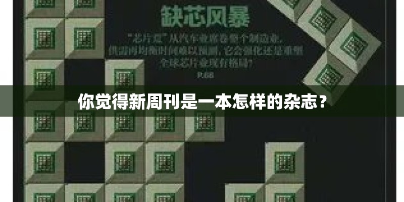 你觉得新周刊是一本怎样的杂志？