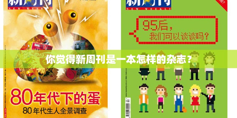 你觉得新周刊是一本怎样的杂志？