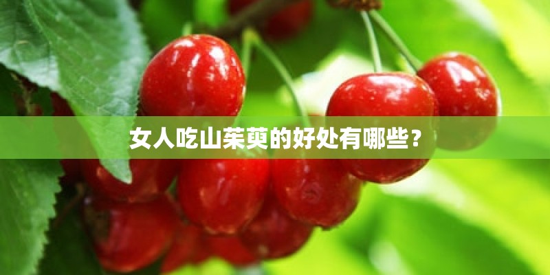 女人吃山茱萸的好处有哪些？