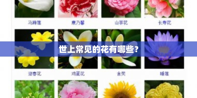 本周的新闻大事10条
