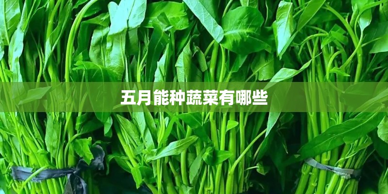 重庆公租房官网地址