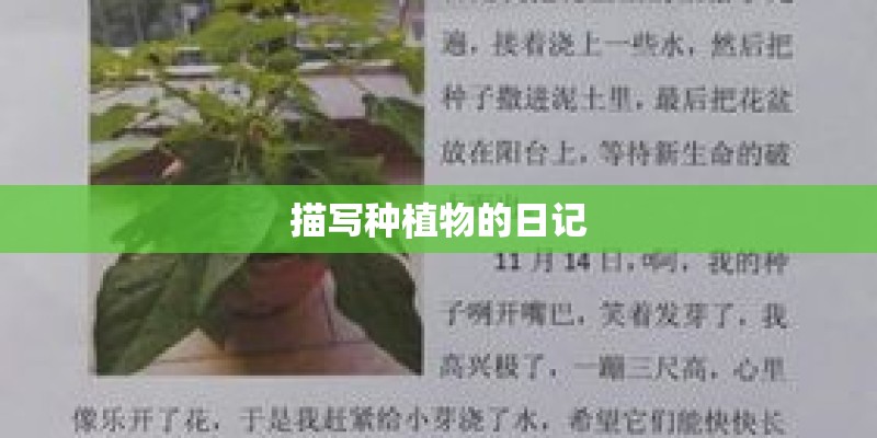 漳州距离厦门有多远