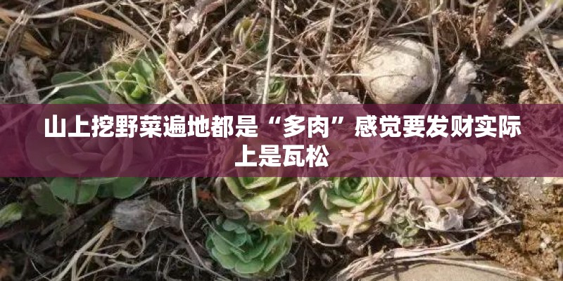 酒店式的公寓有不动产证吗