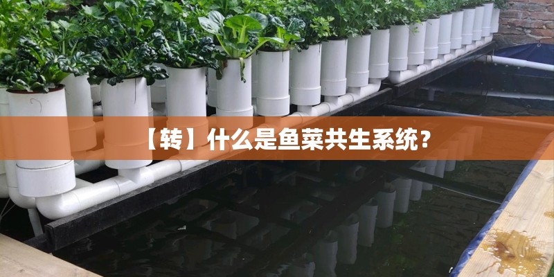【转】什么是鱼菜共生系统？