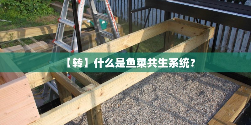 【转】什么是鱼菜共生系统？
